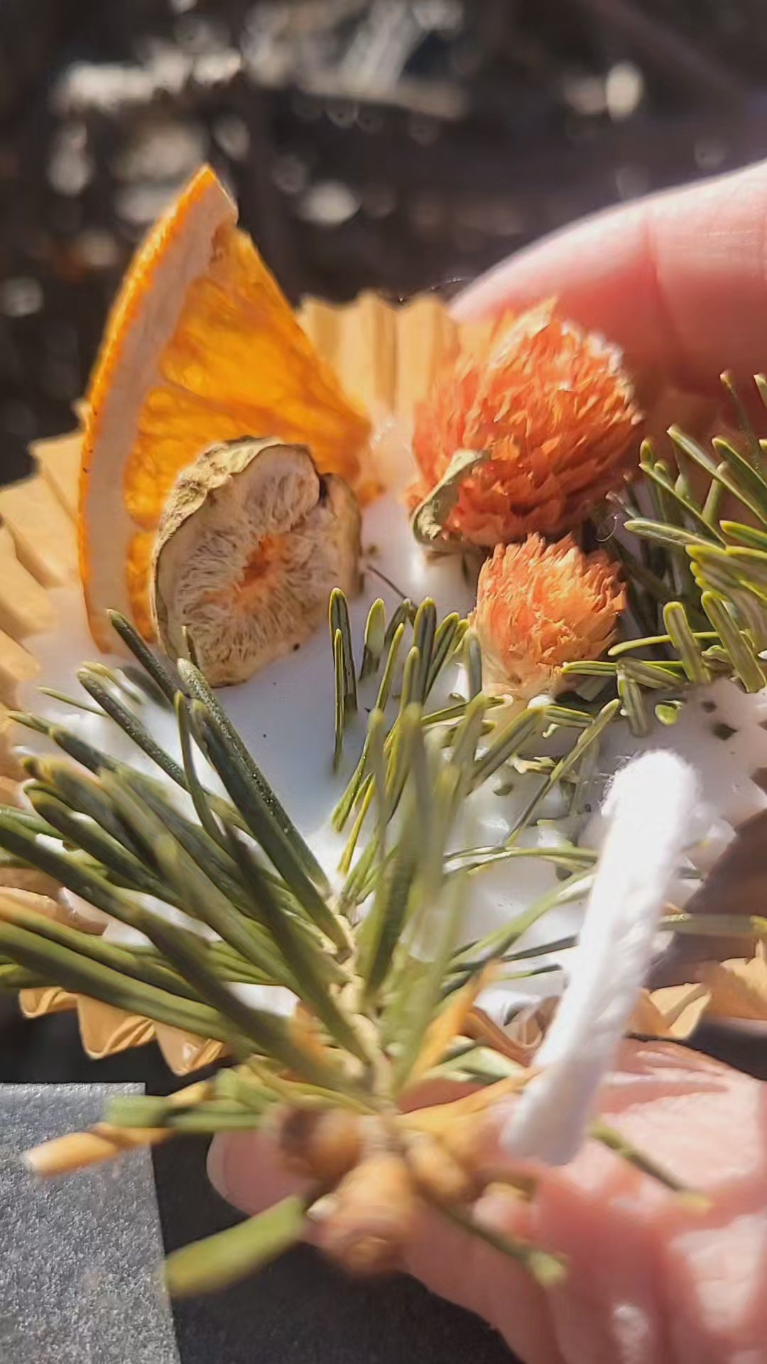 All Natural Fire Starters